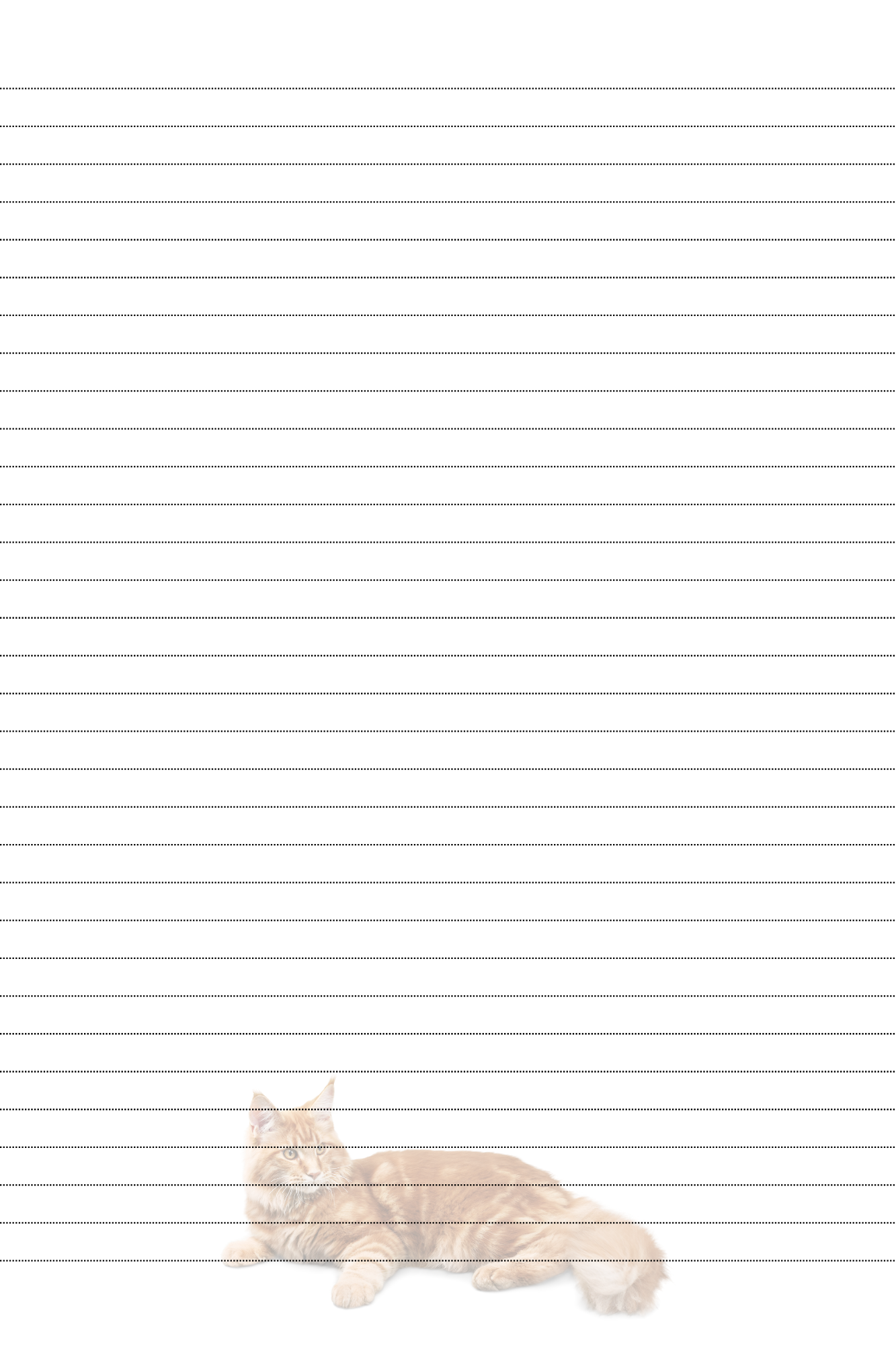 notitieboek kater