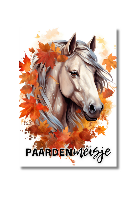 notitieboek paard pony paardenmeisje