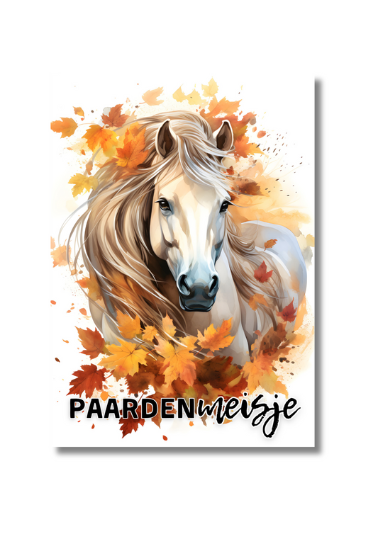 notitieboek paardenmeisje paard