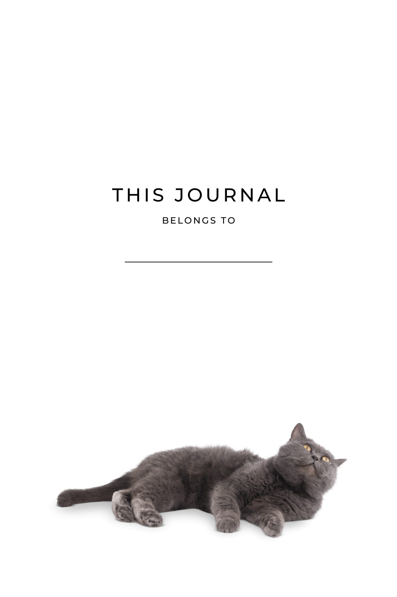 notitieboek poes intropagina