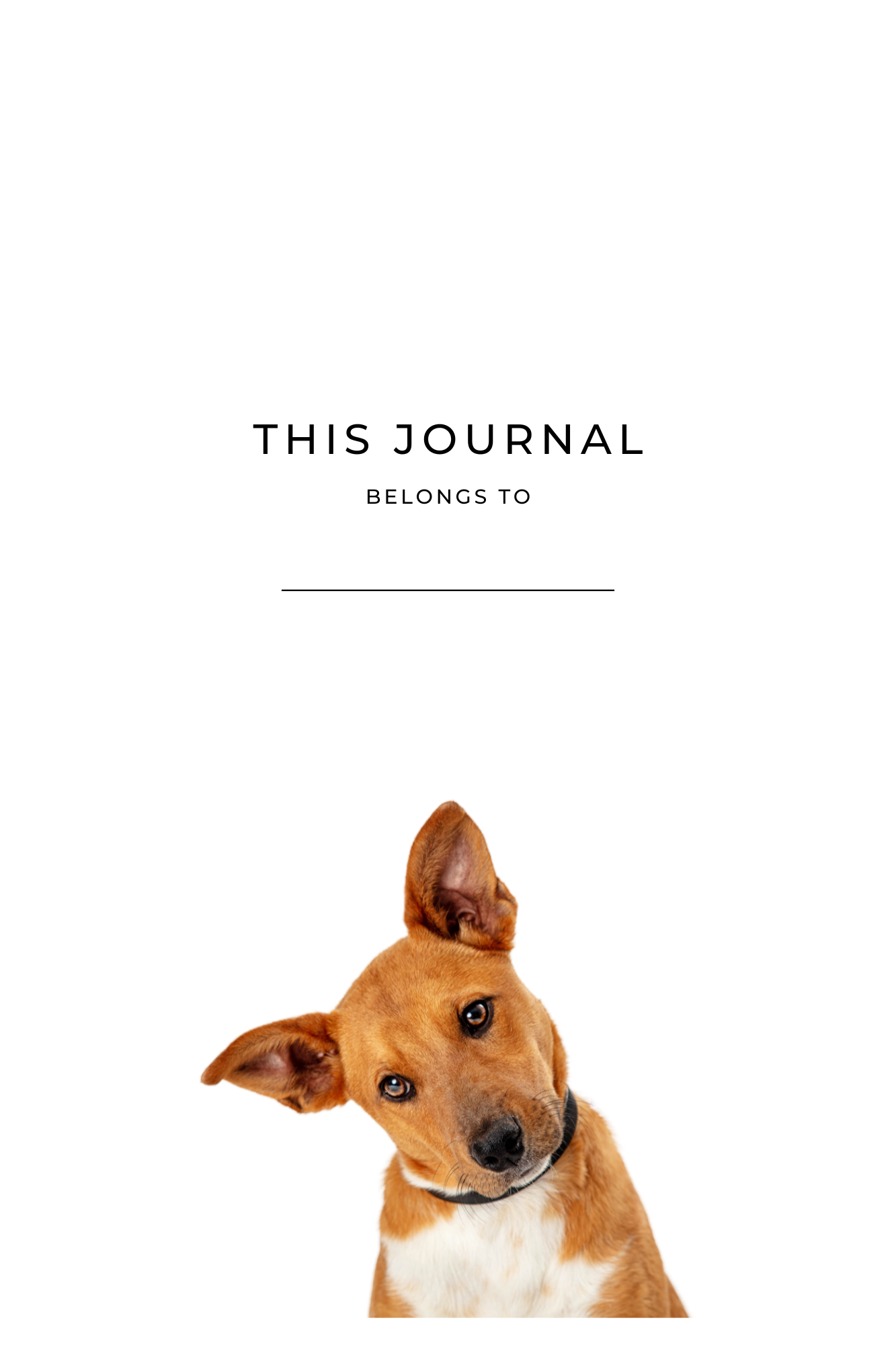 notitieboek hond intropagina