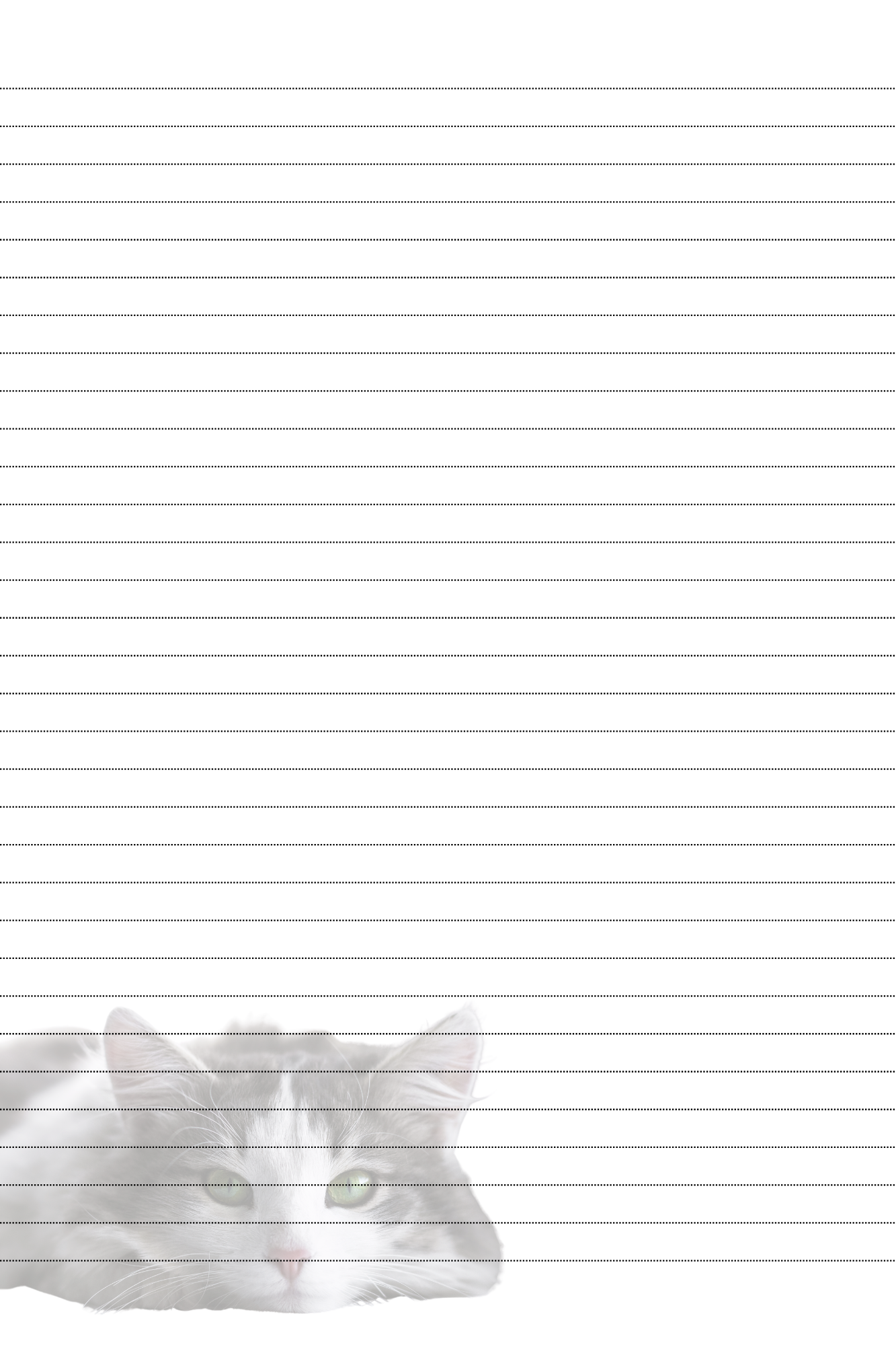 notitieboek poes