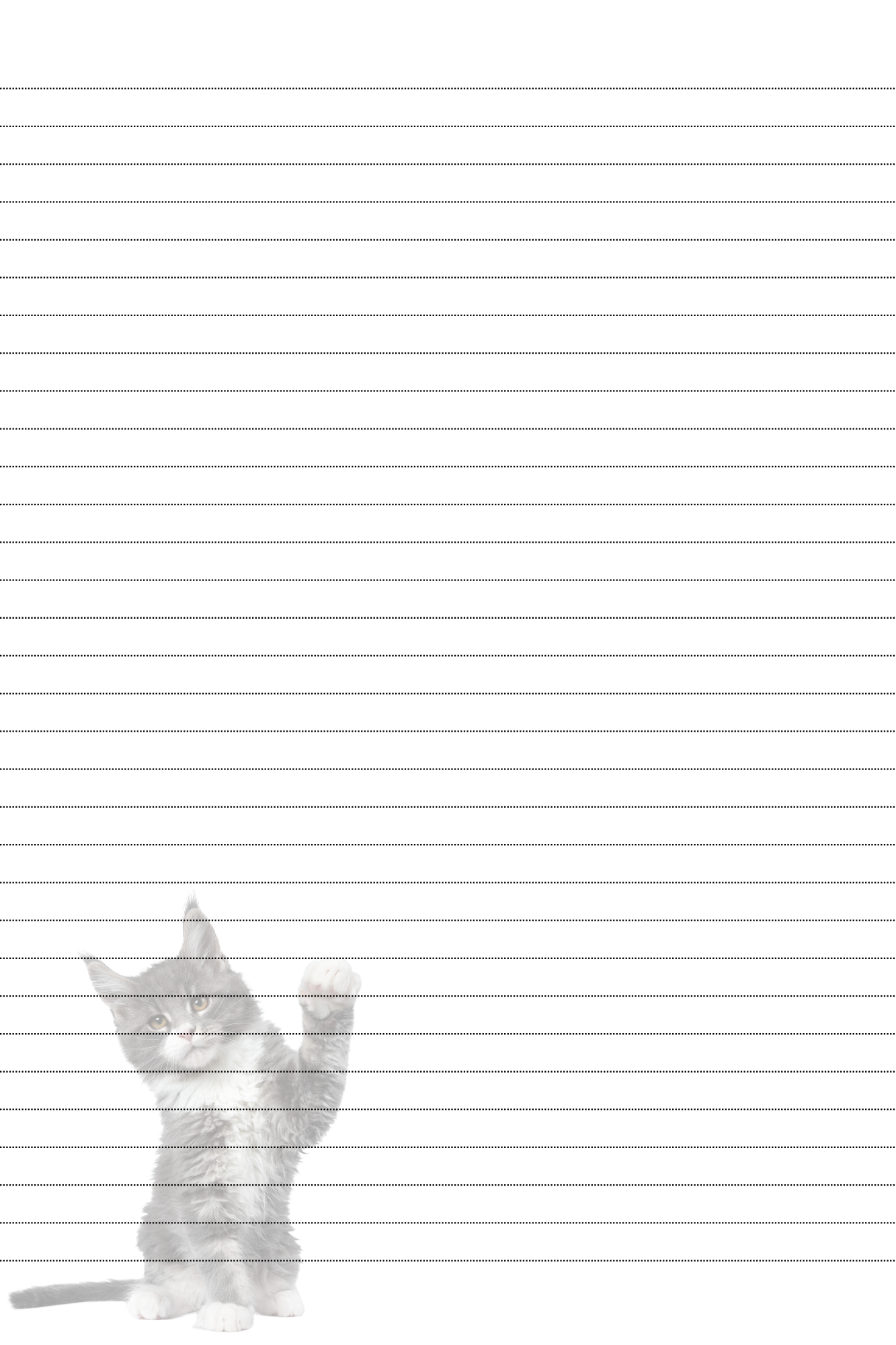 notitieboek kitten