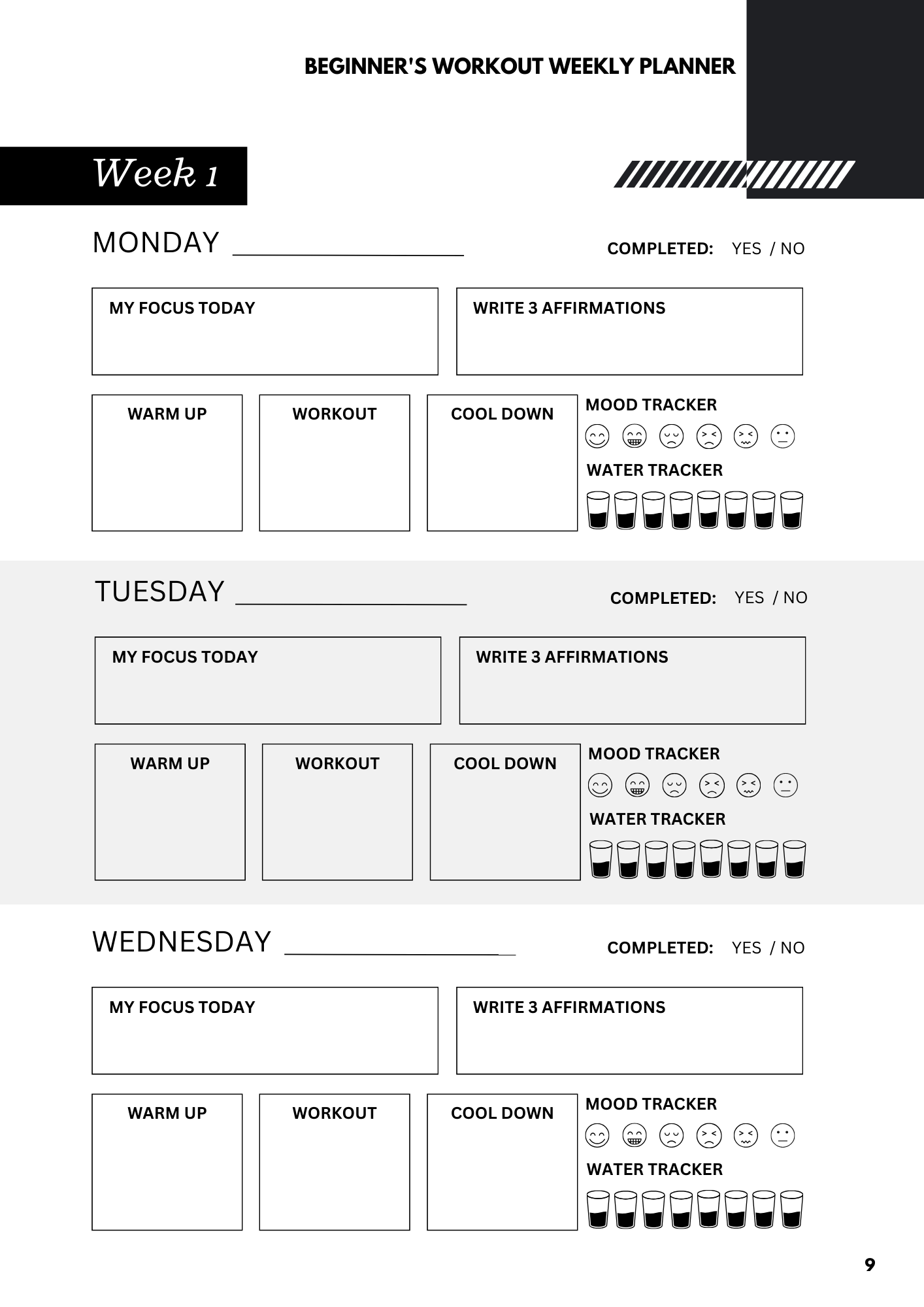 fitnessguide weekly planner
